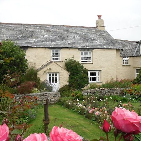 Higher Tresmorn Farm Bed and Breakfast Crackington Haven Exteriör bild