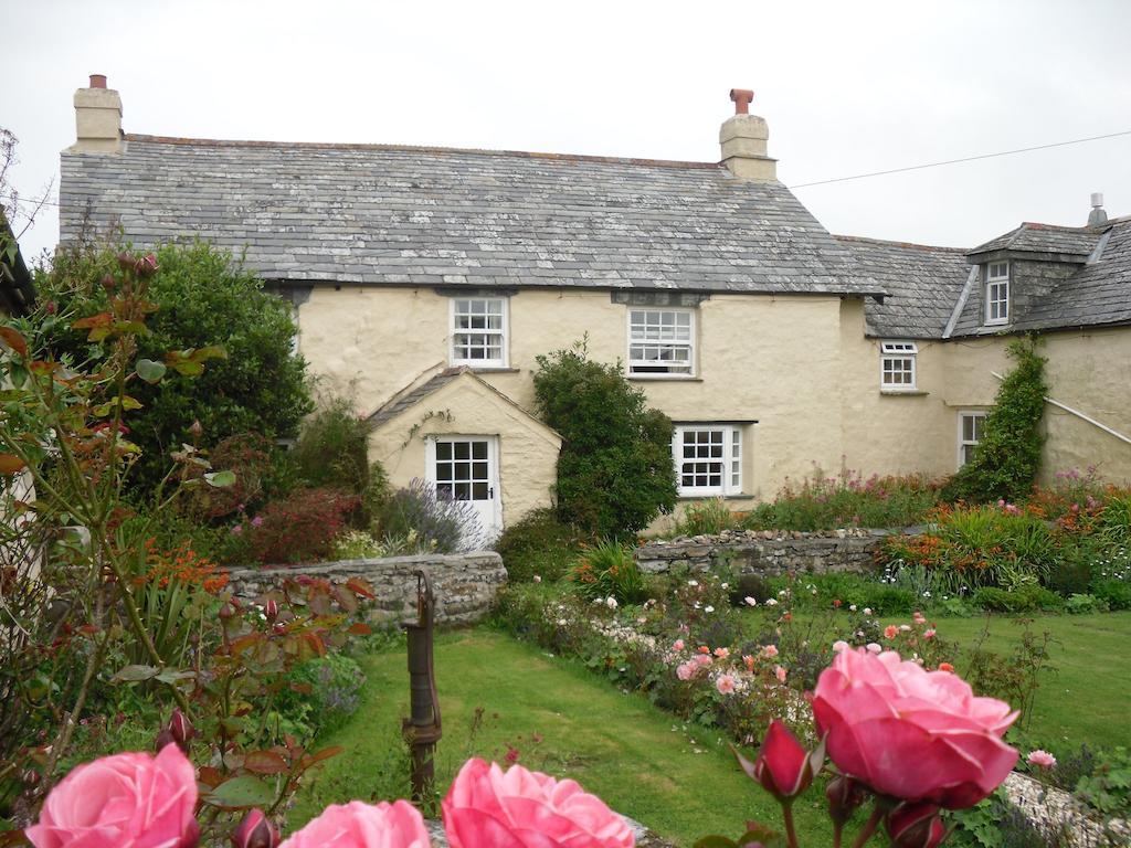 Higher Tresmorn Farm Bed and Breakfast Crackington Haven Exteriör bild